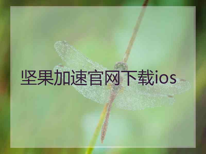 坚果加速官网下载ios