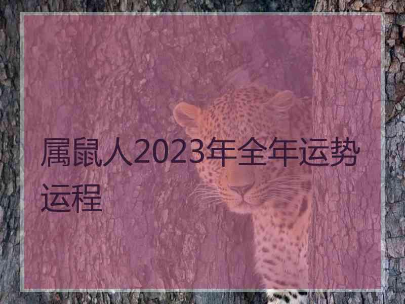 属鼠人2023年全年运势运程