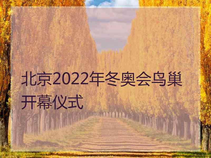 北京2022年冬奥会鸟巢开幕仪式