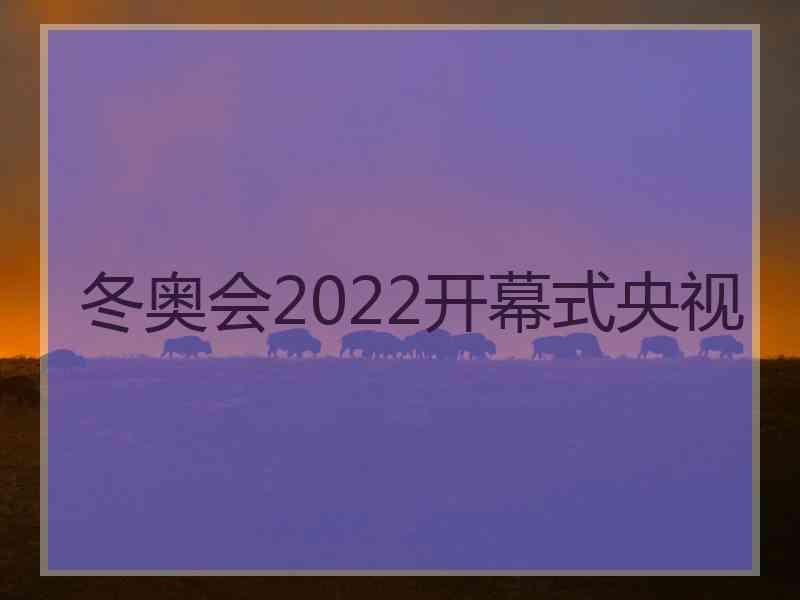 冬奥会2022开幕式央视