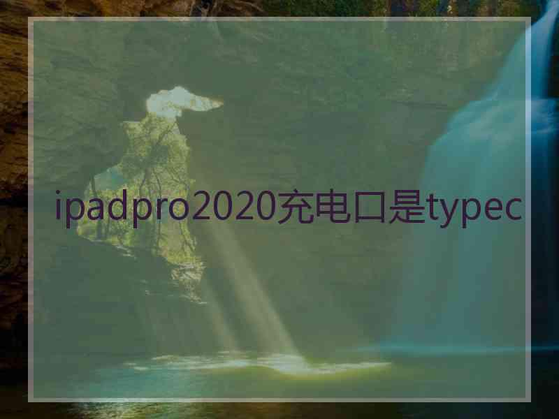 ipadpro2020充电口是typec