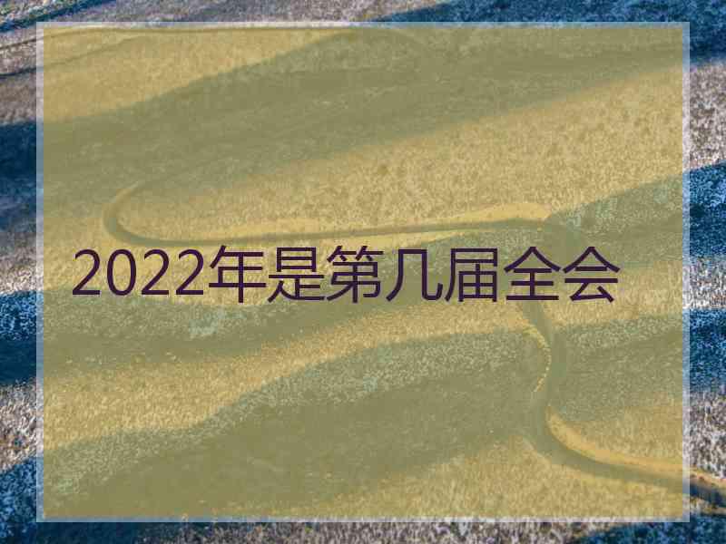 2022年是第几届全会