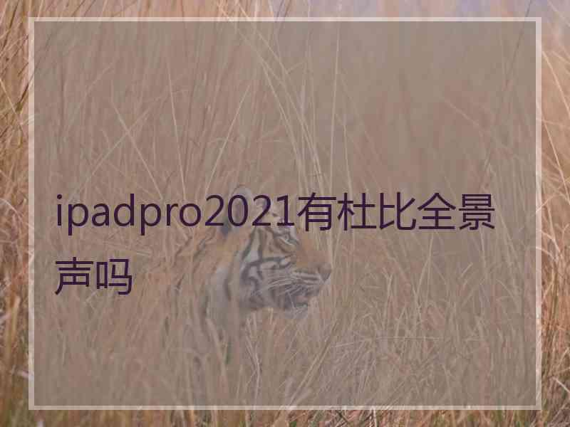 ipadpro2021有杜比全景声吗