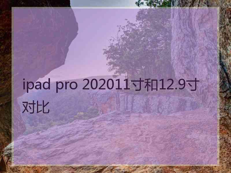 ipad pro 202011寸和12.9寸对比