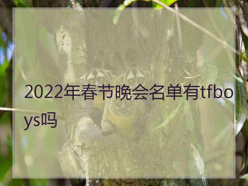 2022年春节晚会名单有tfboys吗