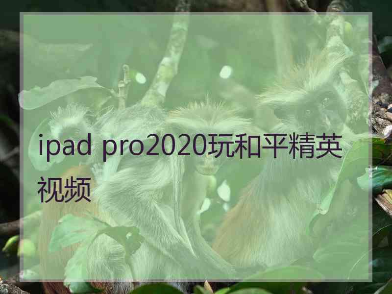 ipad pro2020玩和平精英视频