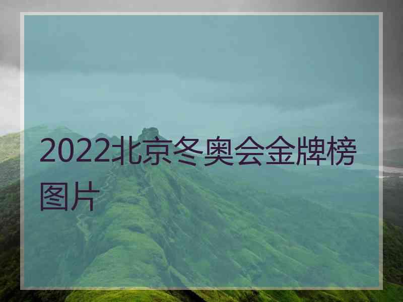 2022北京冬奥会金牌榜图片