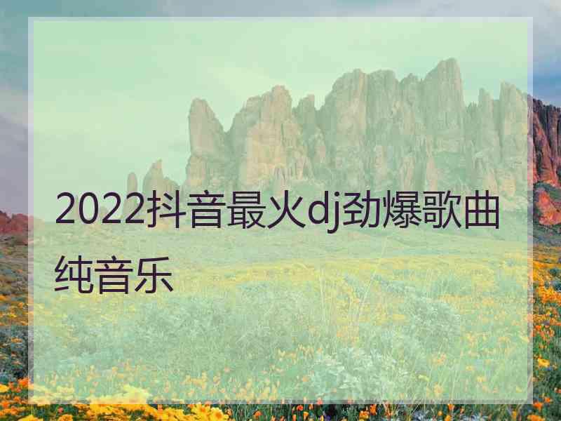 2022抖音最火dj劲爆歌曲纯音乐