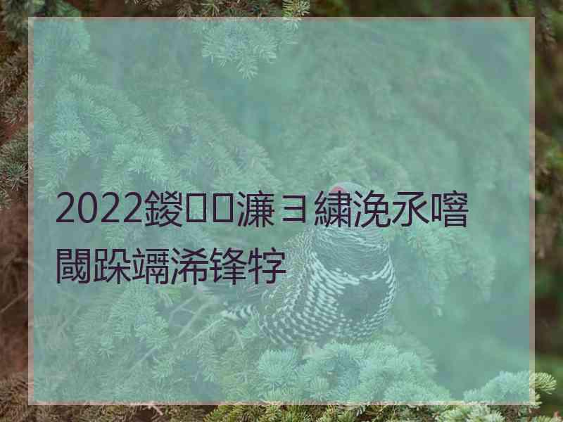 2022鍐濂ヨ繍浼氶噾閾跺竵浠锋牸