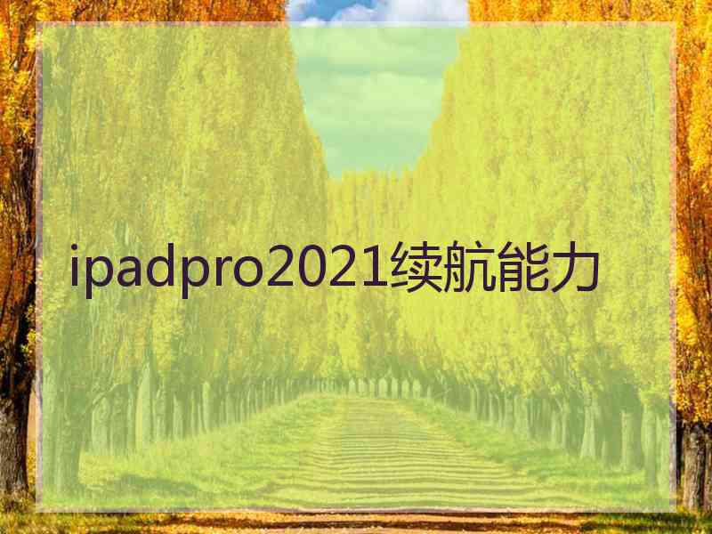 ipadpro2021续航能力