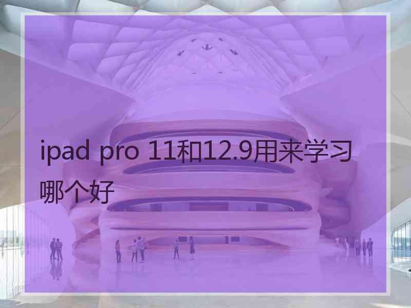 ipad pro 11和12.9用来学习哪个好