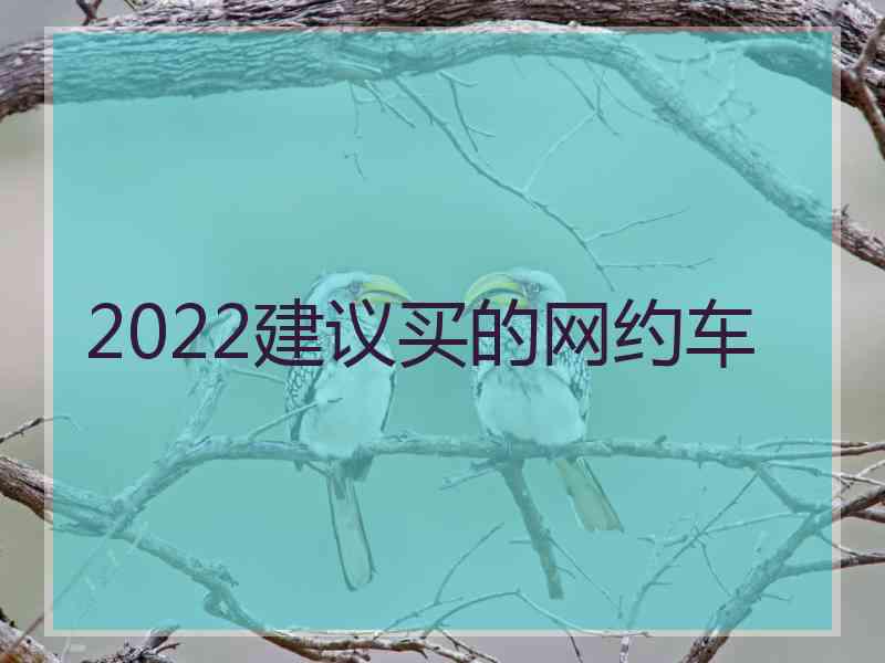 2022建议买的网约车