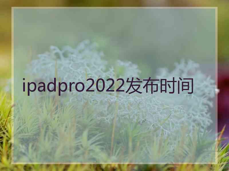 ipadpro2022发布时间