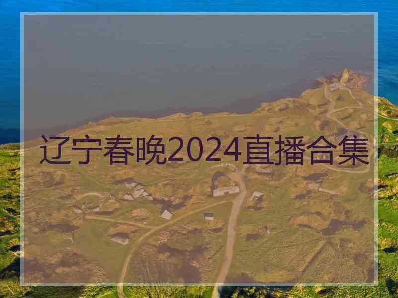 辽宁春晚2024直播合集