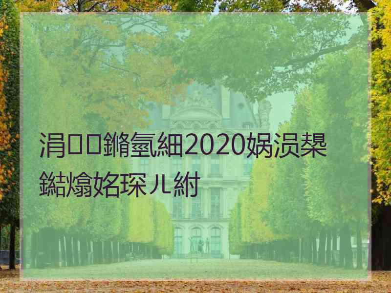 涓鏅氫細2020娲涢槼鐑熻姳琛ㄦ紨