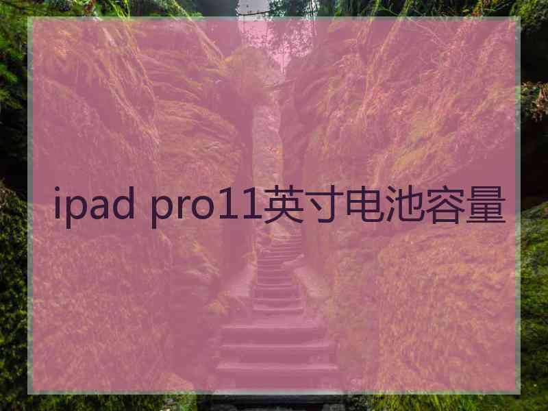 ipad pro11英寸电池容量