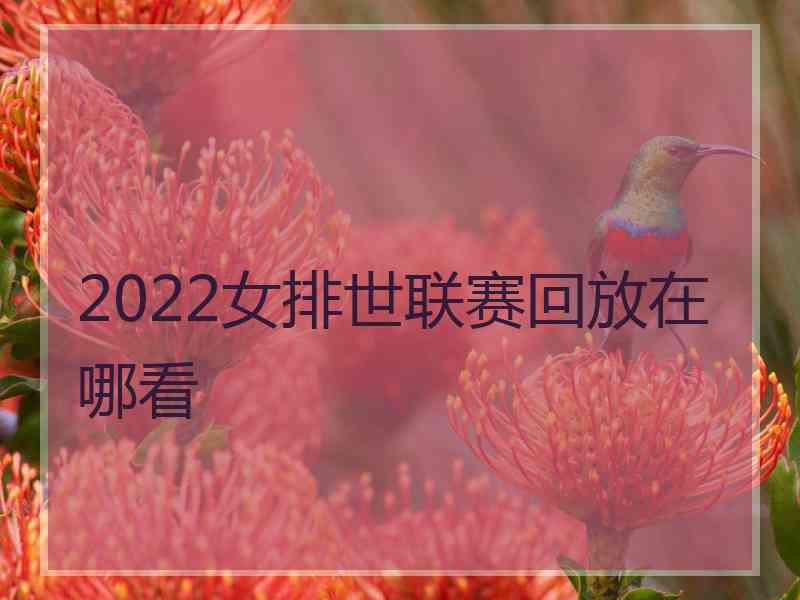 2022女排世联赛回放在哪看