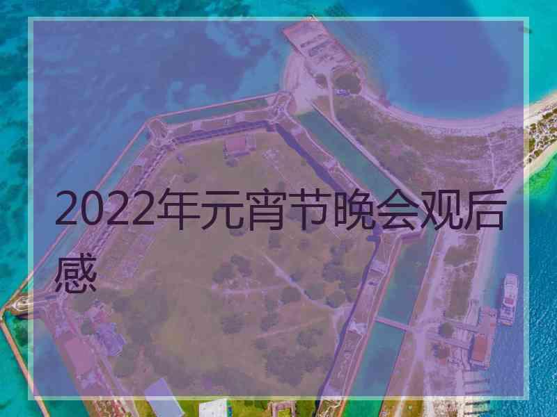 2022年元宵节晚会观后感