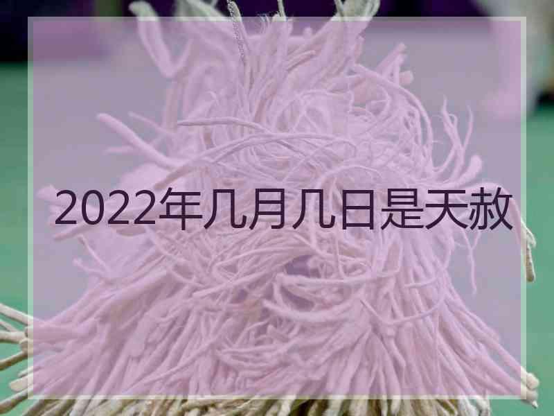 2022年几月几日是天赦