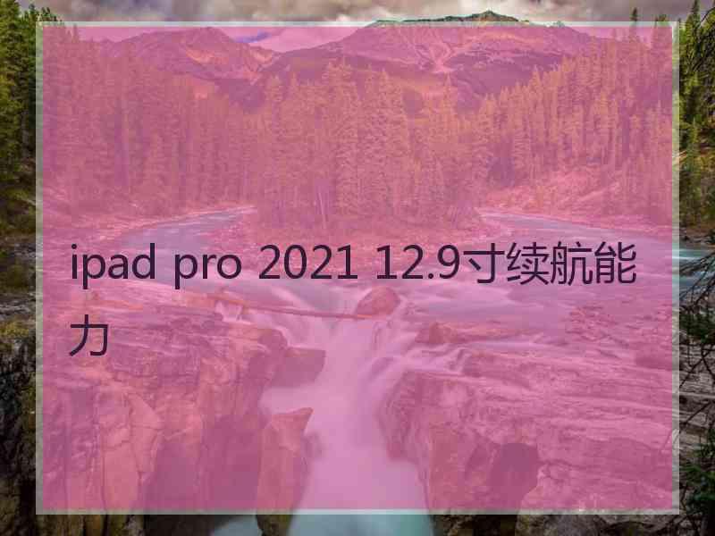 ipad pro 2021 12.9寸续航能力