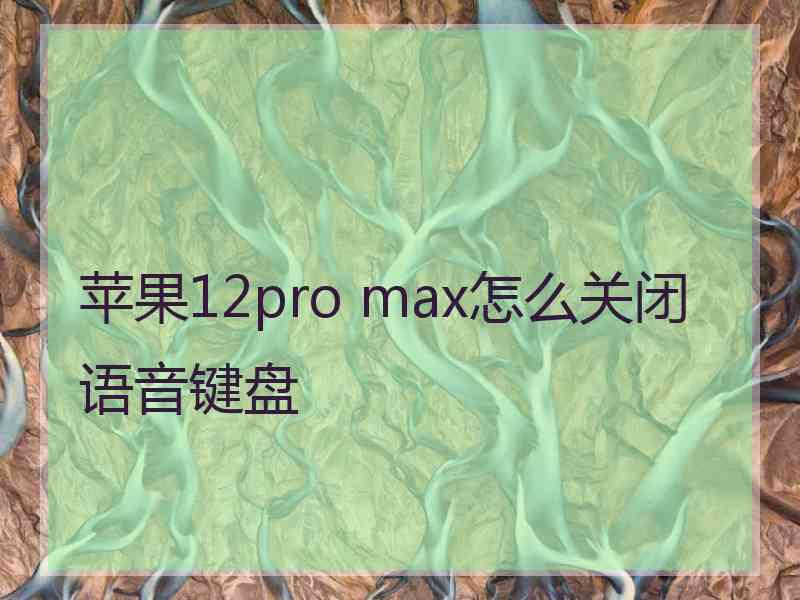 苹果12pro max怎么关闭语音键盘