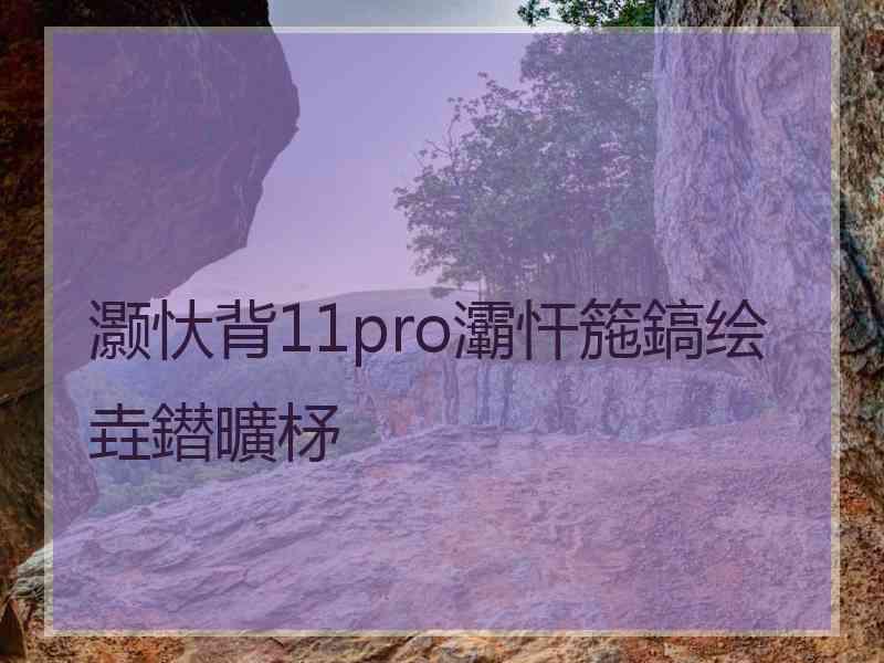 灏忕背11pro灞忓箷鎬绘垚鐟曠柕