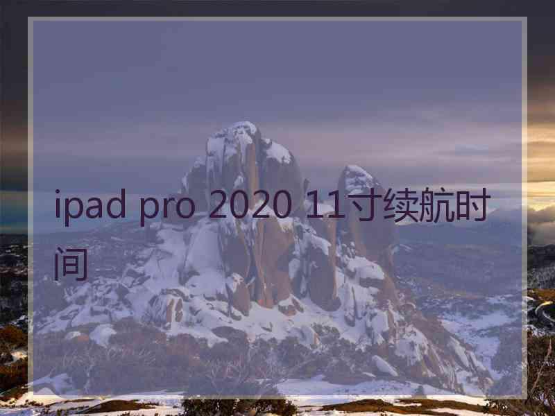 ipad pro 2020 11寸续航时间