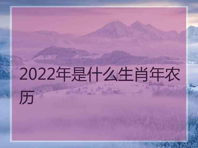 2022年是什么生肖年农历