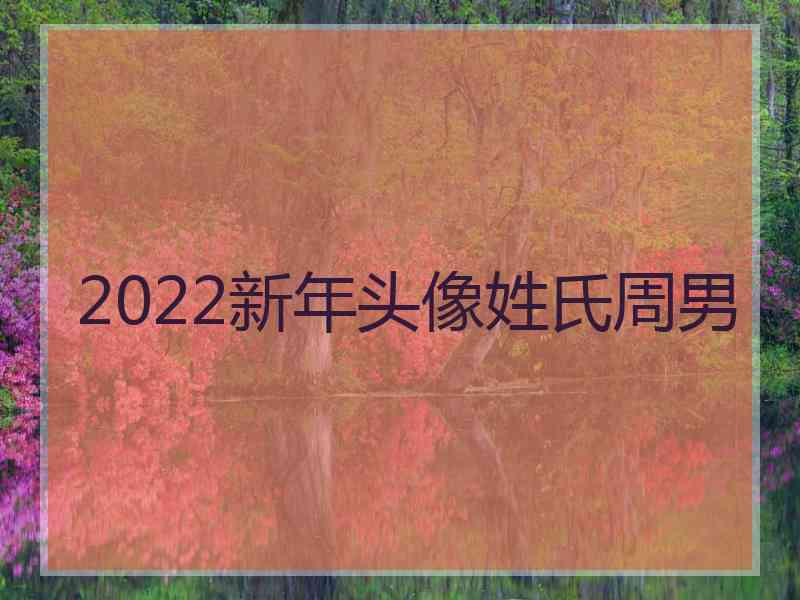 2022新年头像姓氏周男