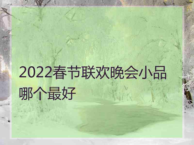 2022春节联欢晚会小品哪个最好