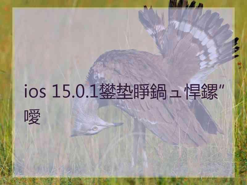 ios 15.0.1鐢垫睜鍋ュ悍鏍″噯