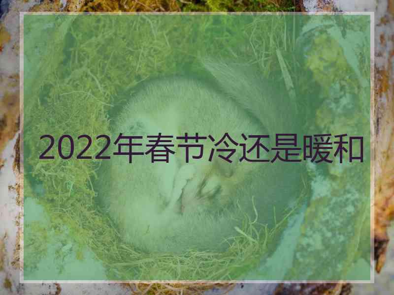 2022年春节冷还是暖和