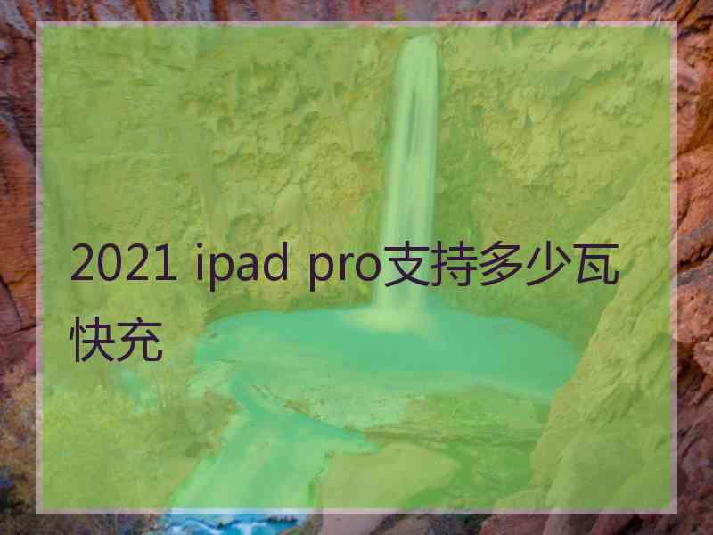 2021 ipad pro支持多少瓦快充