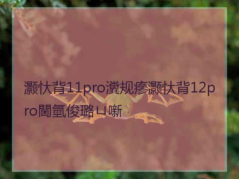 灏忕背11pro瀵规瘮灏忕背12pro閫氫俊璐ㄩ噺