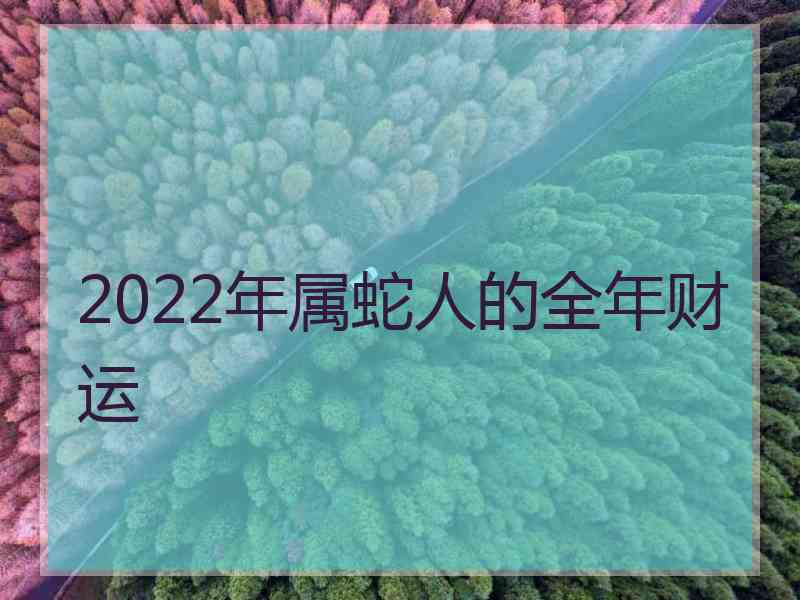 2022年属蛇人的全年财运