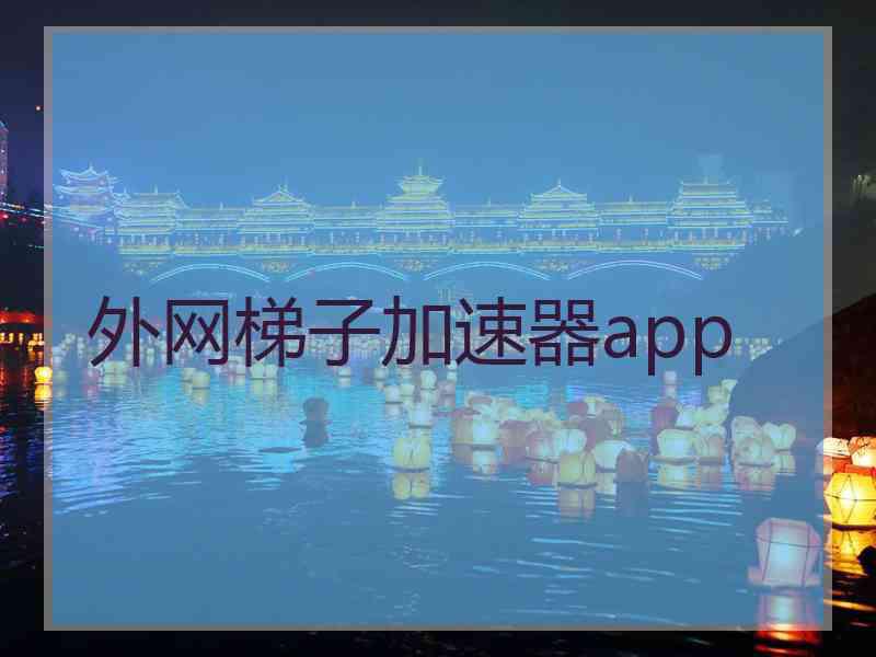 外网梯子加速器app