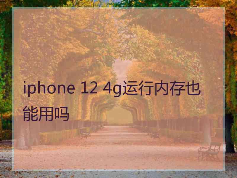 iphone 12 4g运行内存也能用吗