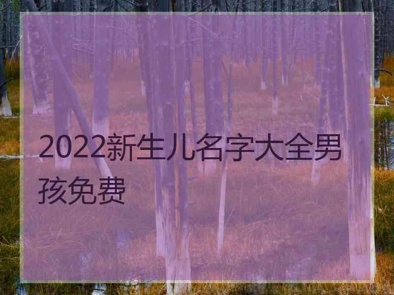 2022新生儿名字大全男孩免费