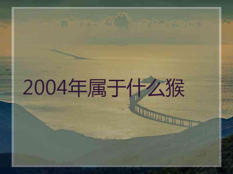 2004年属于什么猴