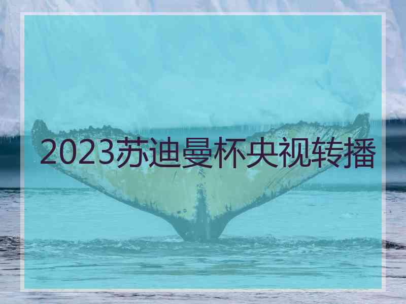 2023苏迪曼杯央视转播