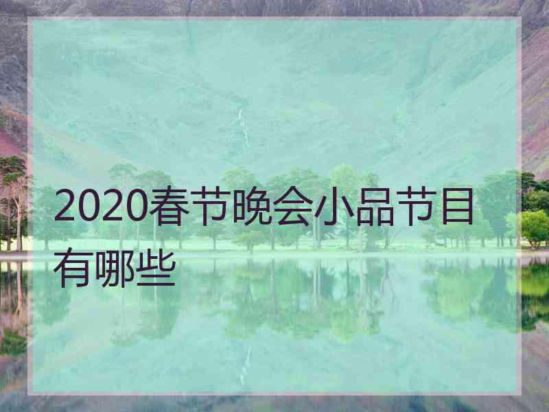 2020春节晚会小品节目有哪些