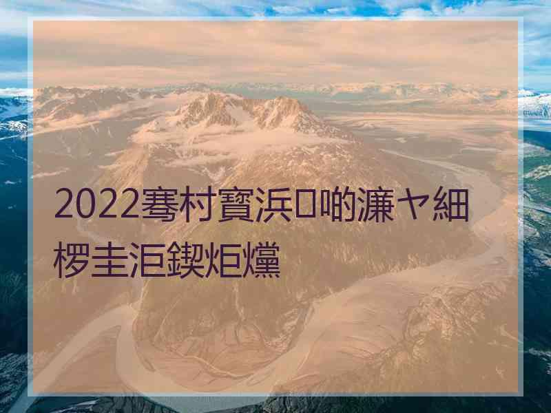 2022骞村寳浜啲濂ヤ細椤圭洰鍥炬爣