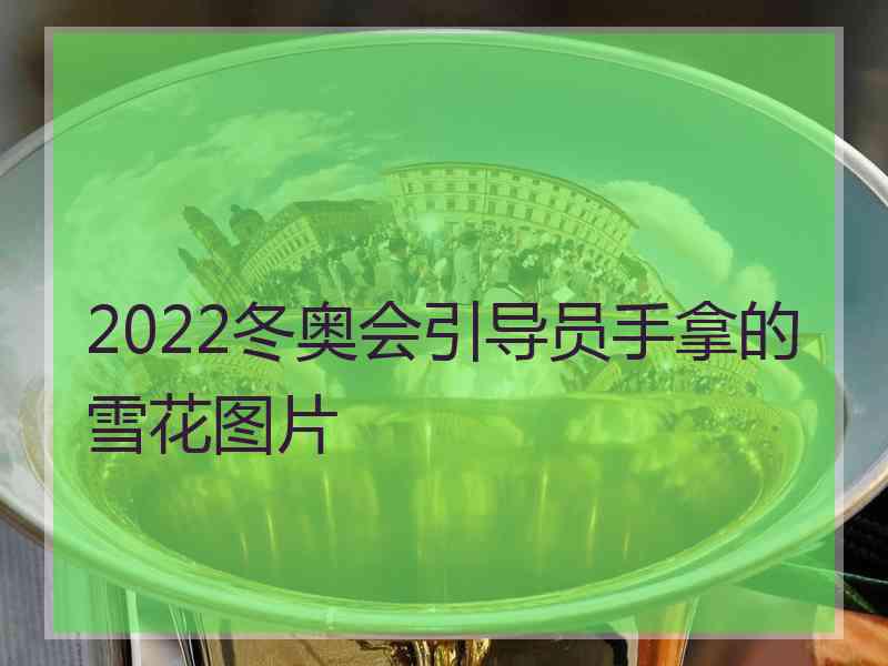 2022冬奥会引导员手拿的雪花图片