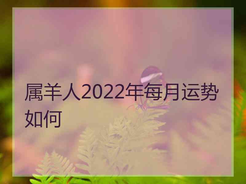 属羊人2022年每月运势如何