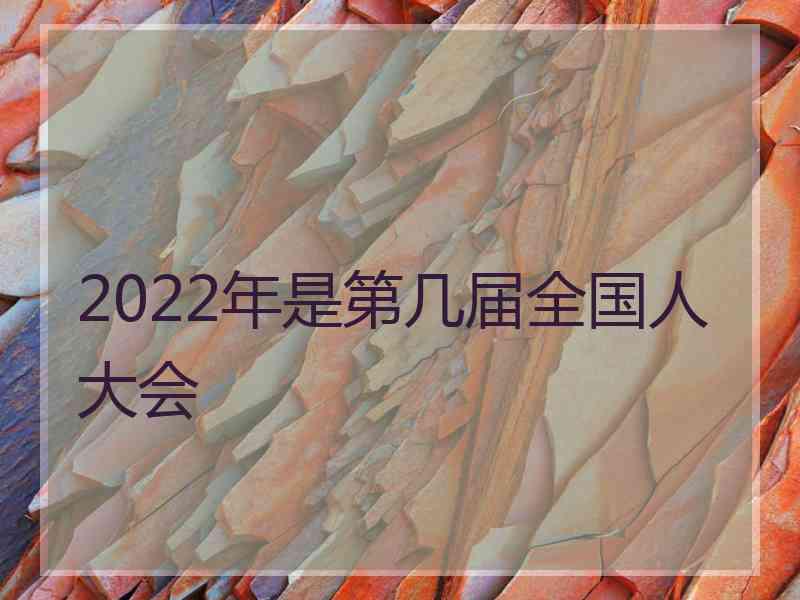 2022年是第几届全国人大会