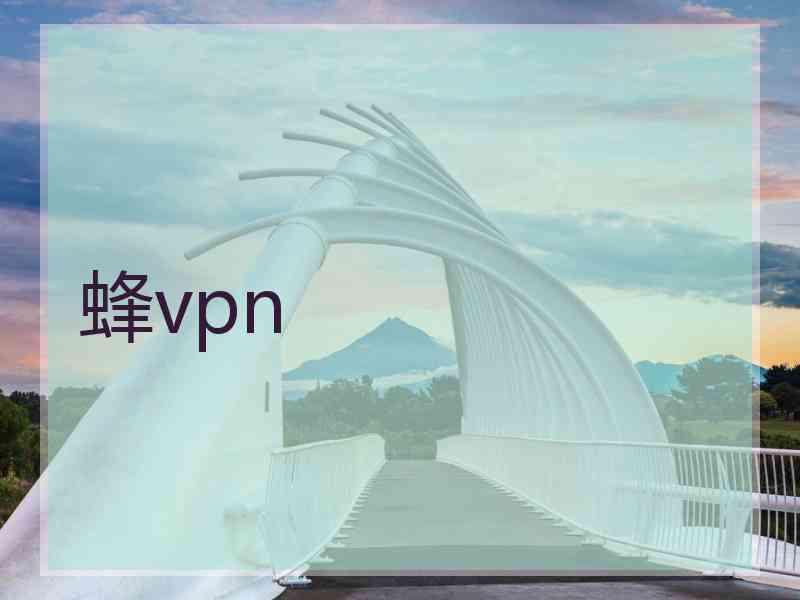 蜂vpn