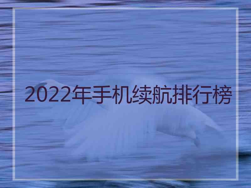 2022年手机续航排行榜