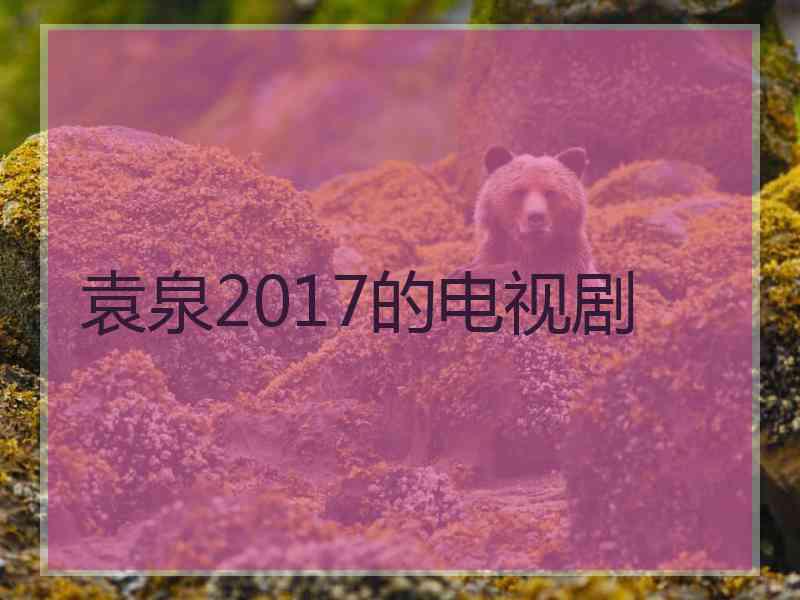 袁泉2017的电视剧