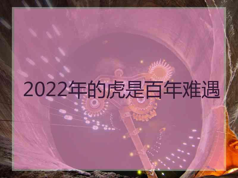 2022年的虎是百年难遇