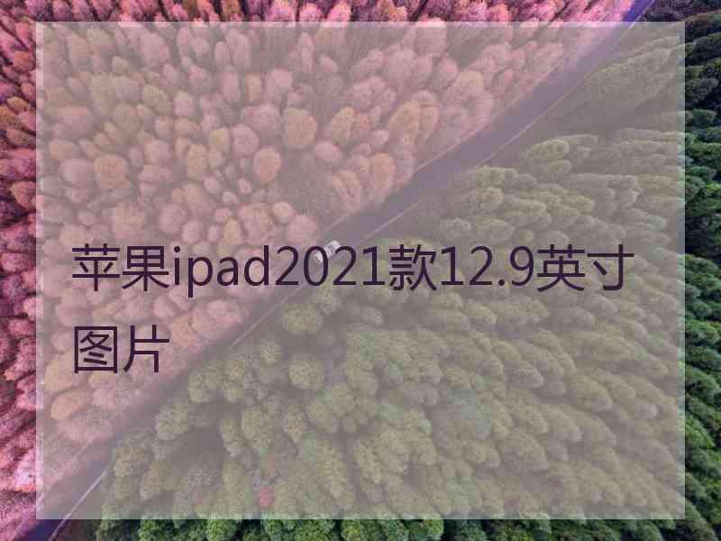 苹果ipad2021款12.9英寸图片